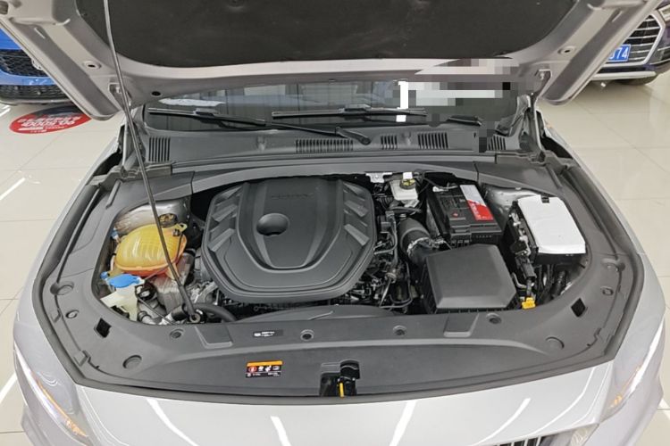 Used Geely Auto Preface 2021 Revised Version 2.0TD Luxury Edition Engine Bay