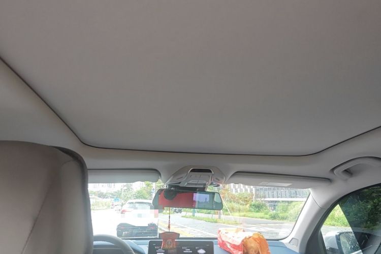 Used Geely Auto Preface 2021 2.0TD Luxury Version Headliner