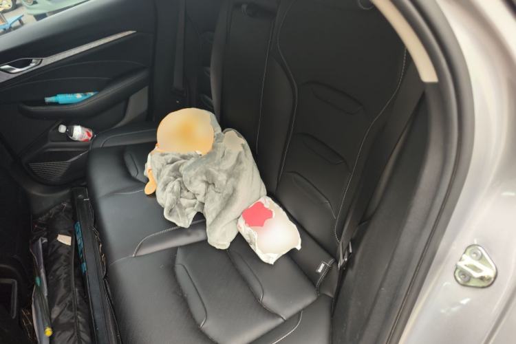 Used Geely Auto Preface 2021 2.0TD Luxury Version Left Rear Seat
