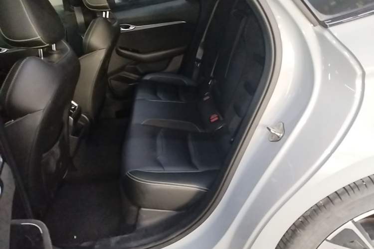 Used Geely Auto Preface 2021 2.0TD Space-Time Edition Hao Yue Left Rear Seat