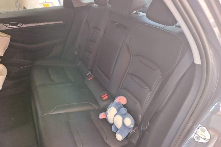 Used Geely Auto Preface 2021 2.0TD Luxury Version Left Rear Seat