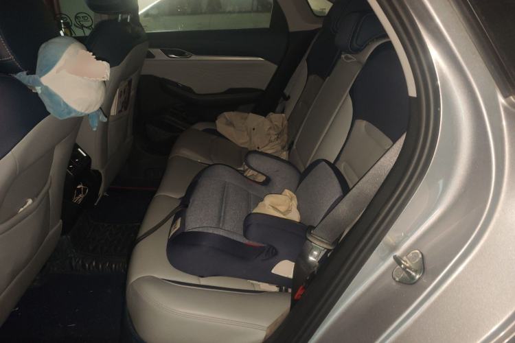 Used Geely Auto Preface 2021 2.0TD Flagship Edition Left Rear Seat