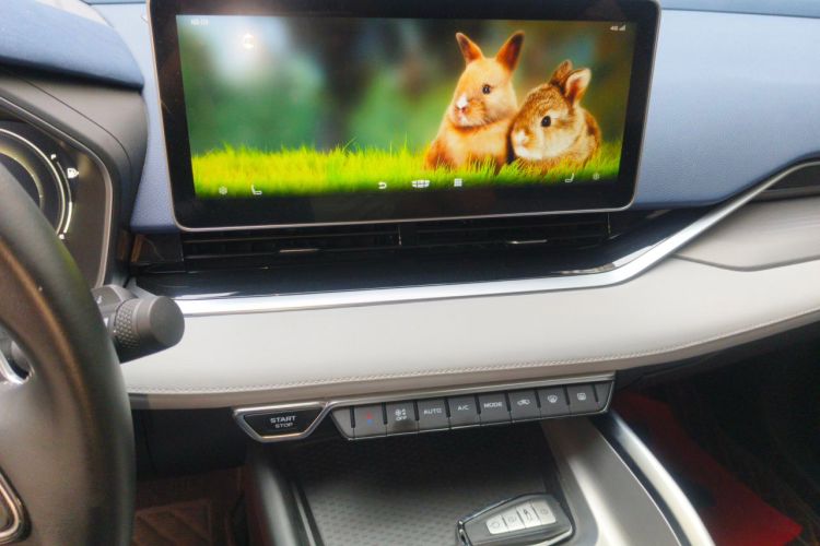 Used Geely Auto Preface 2021 2.0TD Luxury Version Audio And AC Panel
