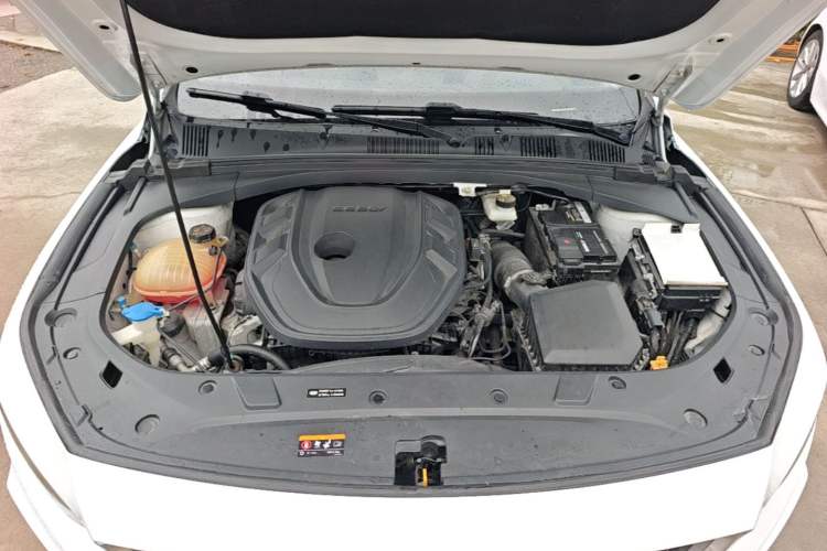 Used Geely Auto Preface 2021 2.0TD Luxury Version Engine Bay