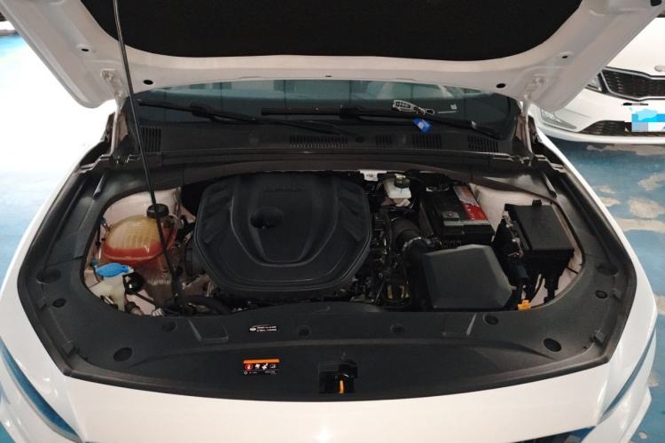 Used Geely Auto Preface 2021 Revised Version 2.0TD Luxury Edition Engine Bay