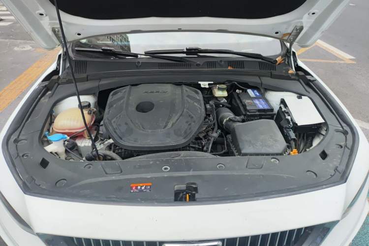 Used Geely Auto Preface 2021 Revised Version 2.0TD Luxury Edition Engine Bay