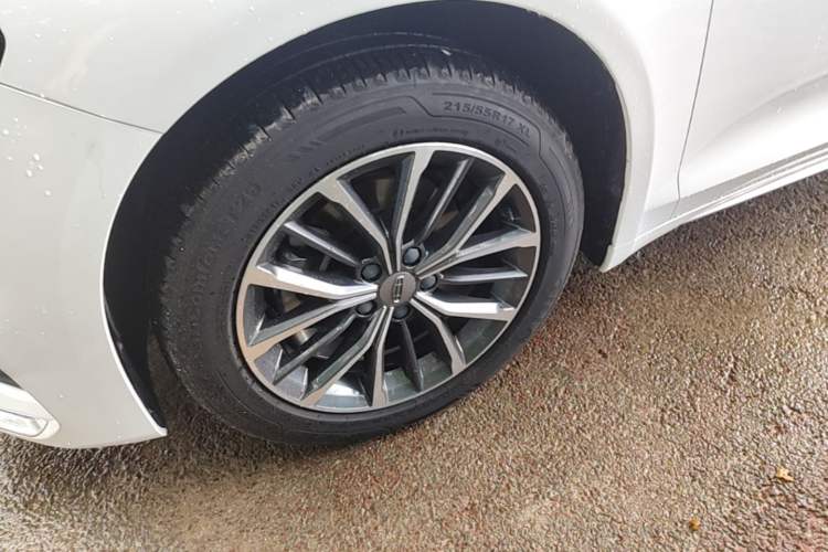 Used Geely Auto Preface 2021 2.0TD Luxury Version Exterior 4