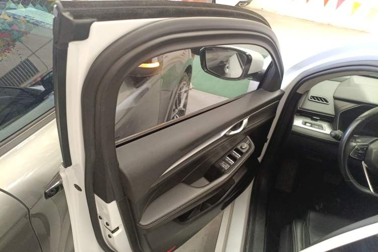Used Geely Auto Preface 2021 2.0TD Luxury Version Left Front Door Interior