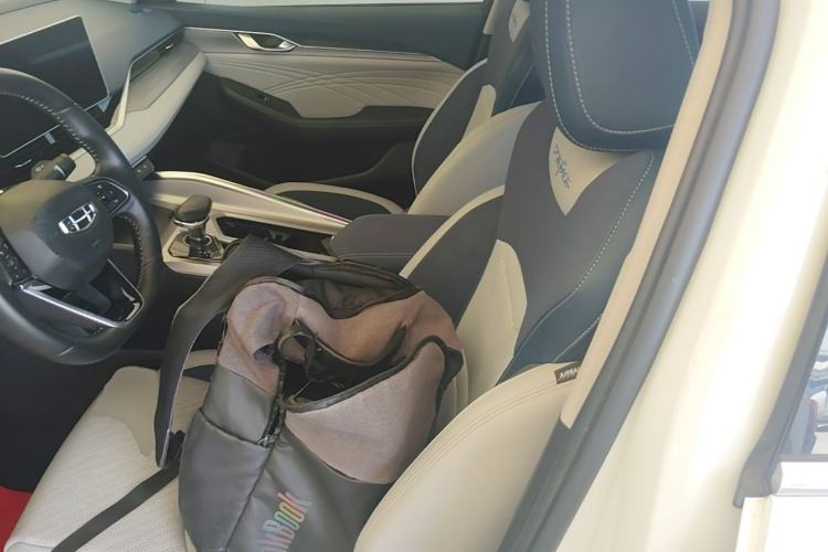 Used Geely Auto Preface 2021 2.0TD Luxury Version Left Front Seat