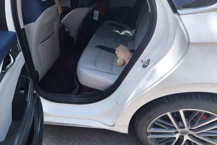 Used Geely Auto Preface 2021 2.0TD Luxury Version Left Rear Seat