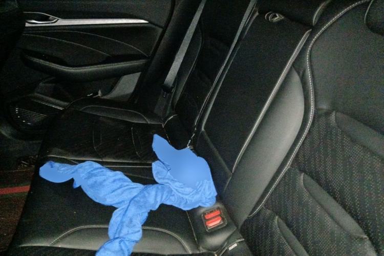 Used Geely Auto Preface 2021 2.0TD Luxury Version Left Rear Seat