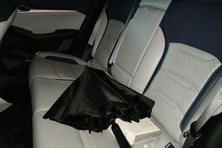 Used Geely Auto Preface 2021 2.0TD Luxury Version Left Rear Seat