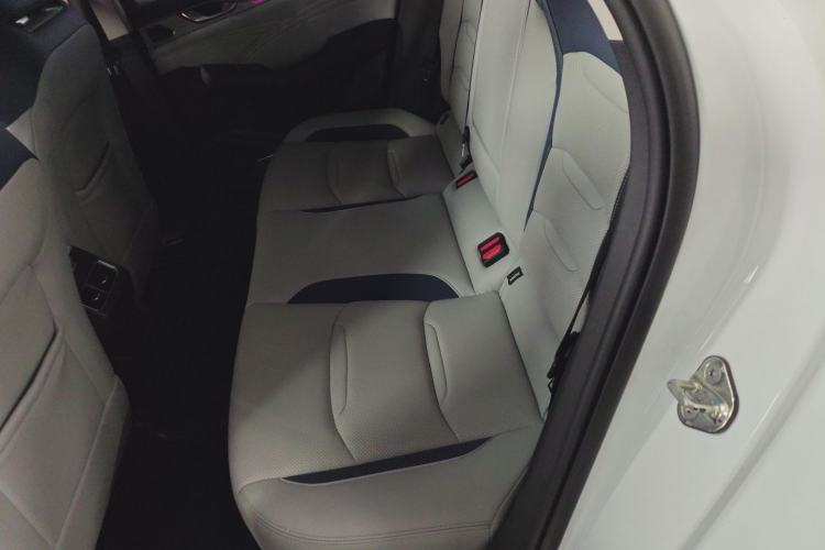 Used Geely Auto Preface 2021 2.0TD Flagship Edition Left Rear Seat