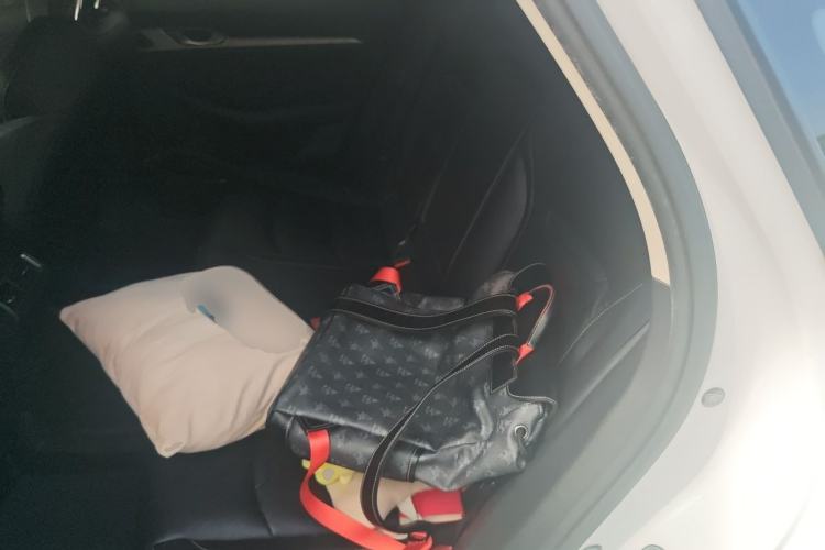 Used Geely Auto Preface 2021 2.0TD Luxury Version Left Rear Seat