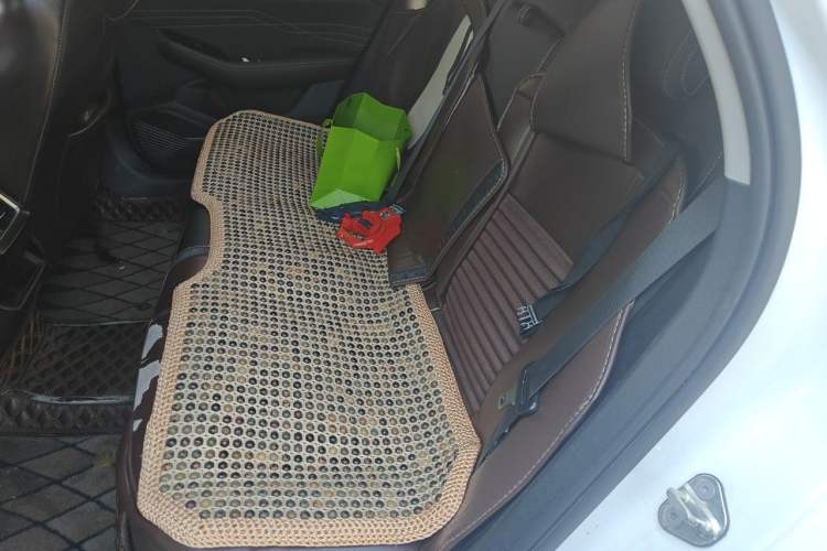 Used Geely Auto Preface 2021 2.0TD Luxury Version Left Rear Seat