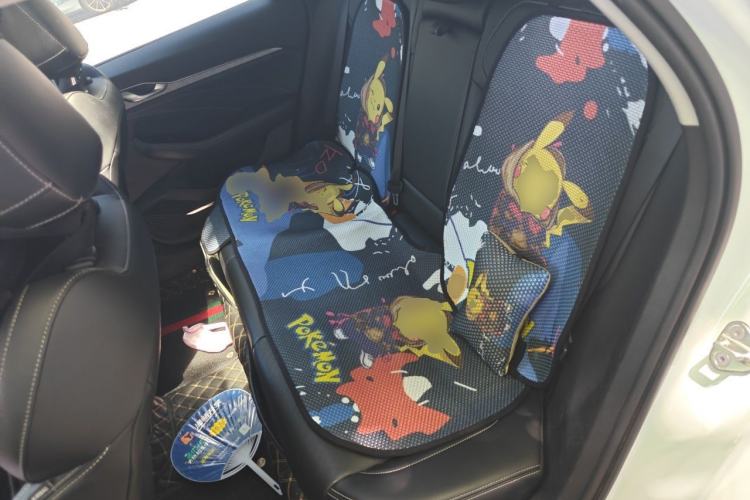 Used Geely Auto Preface 2021 2.0TD Luxury Version Left Rear Seat