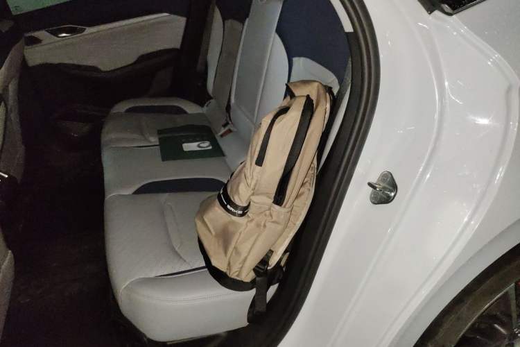 Used Geely Auto Preface 2021 2.0TD Luxury Version Left Rear Seat