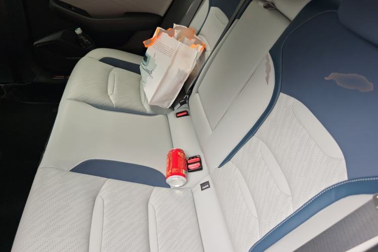Used Geely Auto Preface 2021 Revised Version 2.0TD Luxury Edition Left Rear Seat