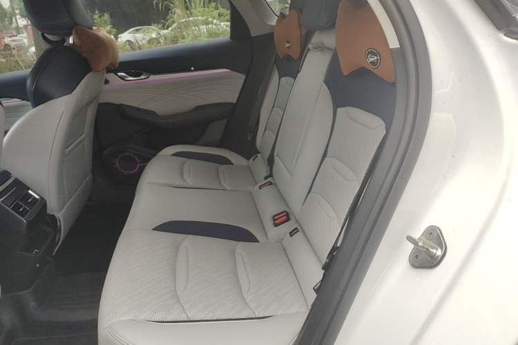 Used Geely Auto Preface 2021 Revised Version 2.0TD Luxury Edition Left Rear Seat