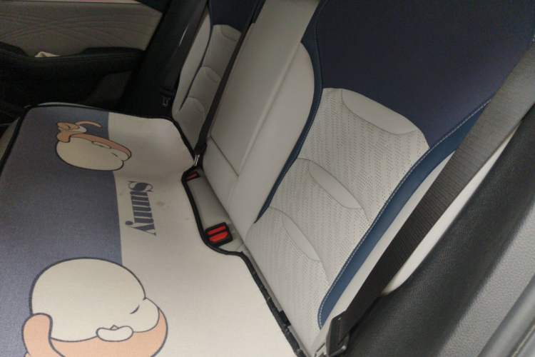 Used Geely Auto Preface 2021 2.0TD Luxury Version Left Rear Seat