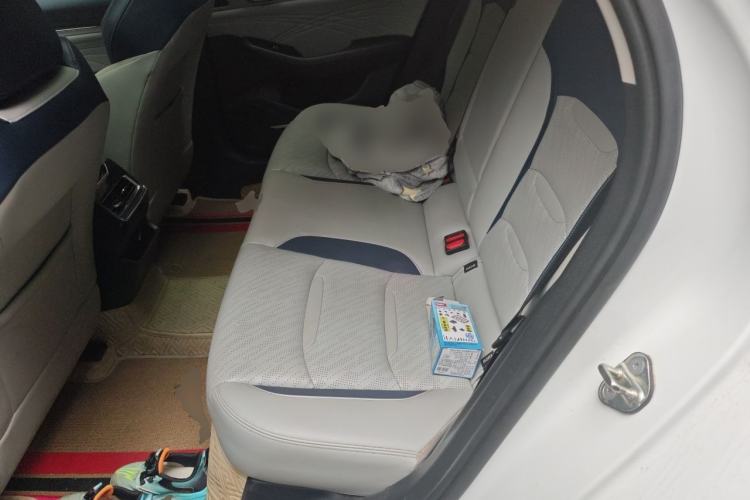 Used Geely Auto Preface 2021 2.0TD Luxury Version Left Rear Seat