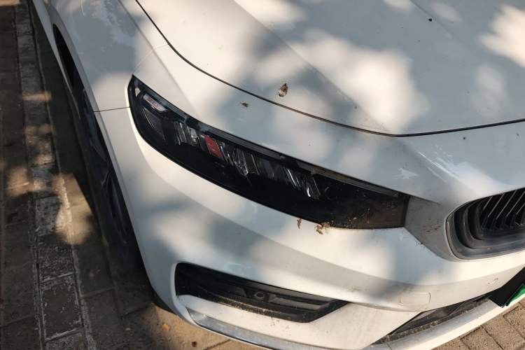 Used Geely Auto Preface 2021 2.0TD Luxury Version Right Front Headlight