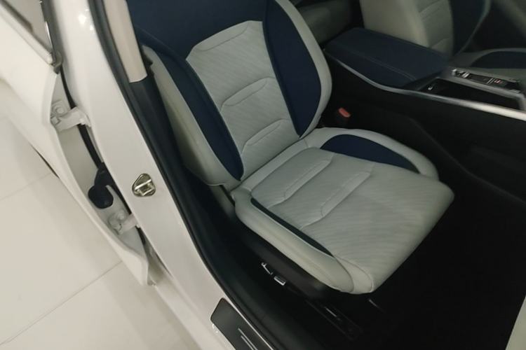 Used Geely Auto Preface 2021 2.0TD Luxury Version Right Front Seat
