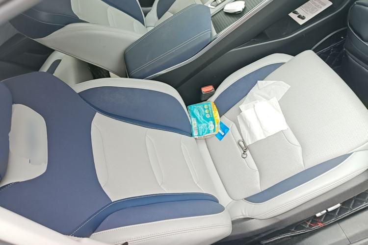 Used Geely Auto Preface 2021 2.0TD Flagship Edition Right Front Seat