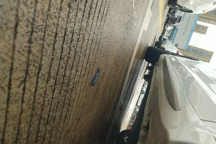 Used Geely Auto Preface 2021 2.0TD Luxury Version Right Side Sill