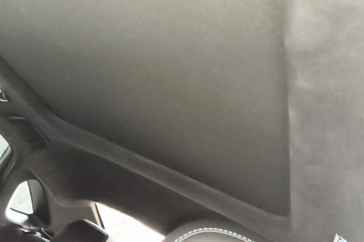 Used Geely Auto Preface 2023 2.0TD "Only This Verdant Green" Edition Headliner