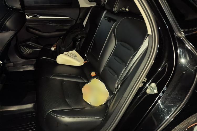 Used Geely Auto Preface 2023 2.0TD Luxury Version Left Rear Seat