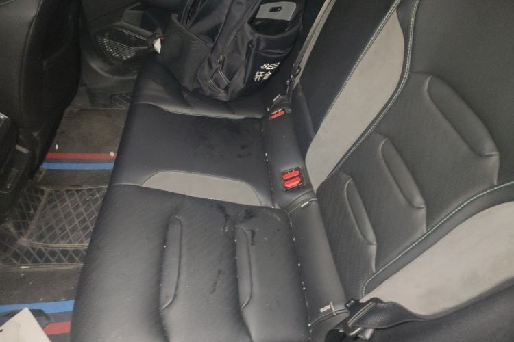 Used Geely Auto Preface 2023 2.0TD "Only This Verdant Green" Edition Left Rear Seat