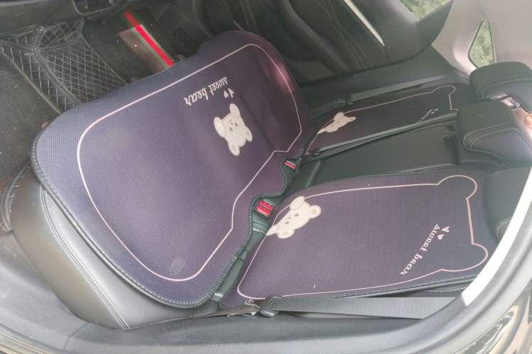 Used Geely Auto Preface 2023 2.0TD Luxury Version Left Rear Seat