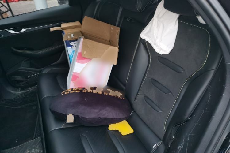 Used Geely Auto Preface 2023 2.0TD Space-Time Edition Left Rear Seat