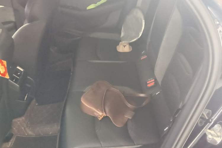 Used Geely Auto Preface 2023 2.0TD "Only This Verdant Green" Edition Left Rear Seat