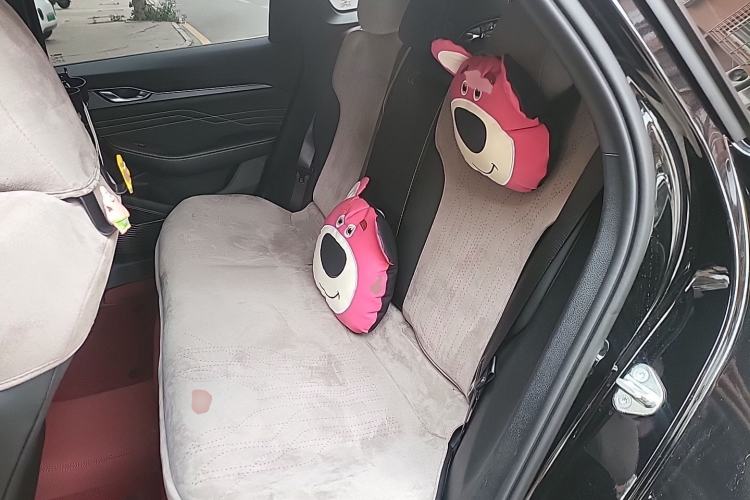 Used Geely Auto Preface 2023 1.5TD Kunlun Edition Left Rear Seat