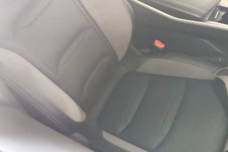 Used Geely Auto Preface 2023 2.0TD "Only This Verdant Green" Edition Right Front Seat
