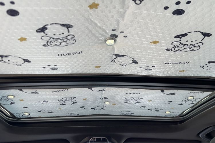 Used Geely Auto Preface 2023 2.0TD "Only This Verdant Green" Edition Headliner