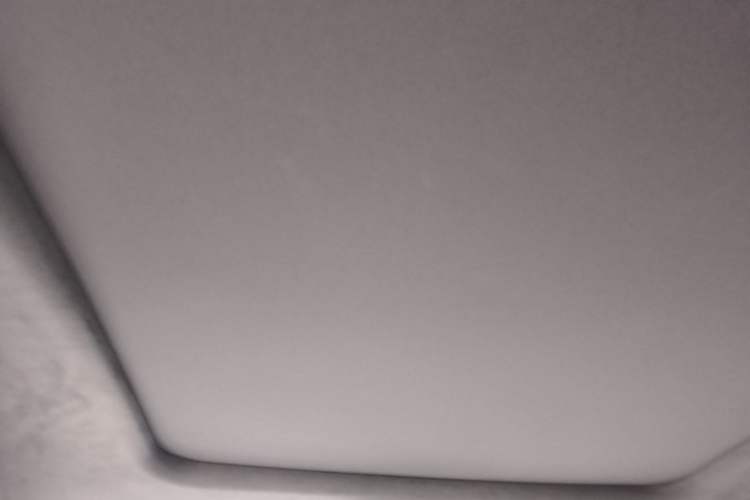 Used Geely Auto Preface 2023 2.0TD "Only This Verdant Green" Edition Headliner