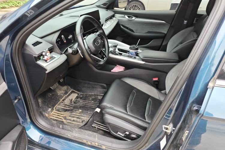 Used Geely Auto Preface 2023 2.0TD "Only This Verdant Green" Edition Left Front Seat