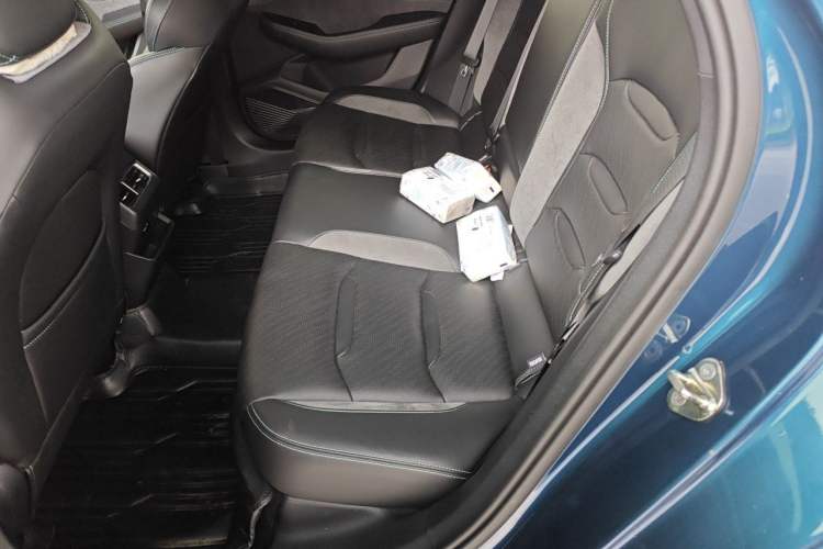 Used Geely Auto Preface 2023 2.0TD "Only This Verdant Green" Edition Left Rear Seat