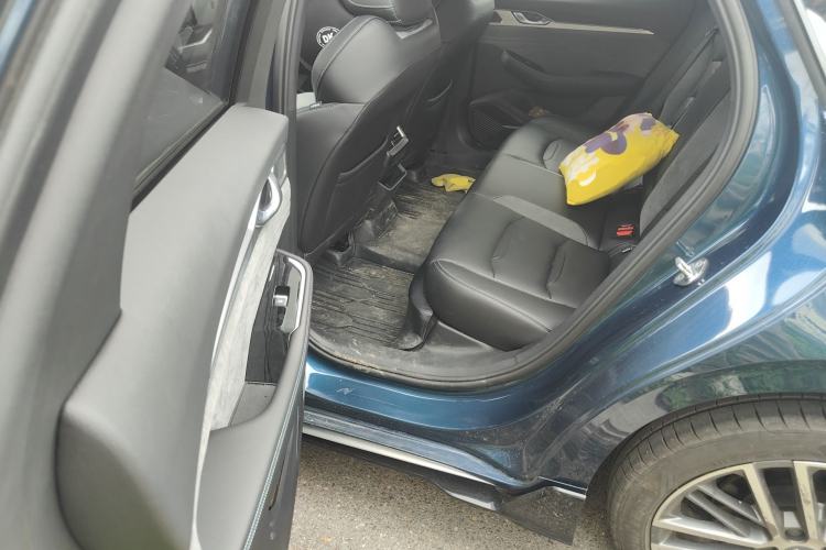 Used Geely Auto Preface 2023 2.0TD "Only This Verdant Green" Edition Left Rear Seat