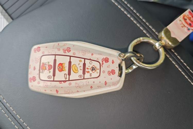 Used Geely Auto Preface 2023 2.0TD Luxury Version Vehicle Key