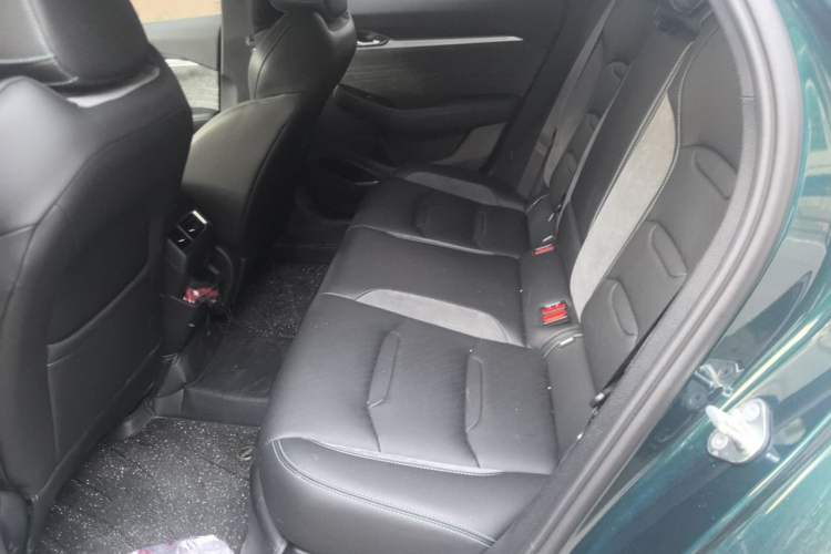 Used Geely Auto Preface 2023 2.0TD "Only This Verdant Green" Edition Left Rear Seat