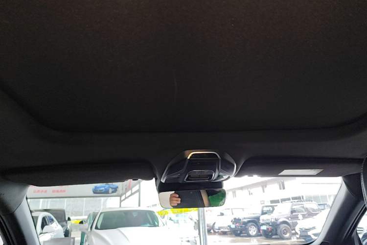 Used Geely Auto Preface 2023 2.0TD "Only This Verdant Green" Edition Headliner