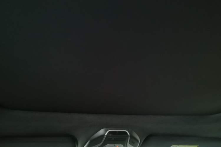 Used Geely Auto Preface 2023 2.0TD "Only This Verdant Green" Edition Headliner