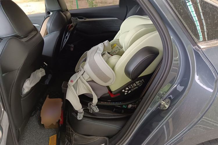 Used Geely Auto Preface 2023 2.0TD "Only This Verdant Green" Edition Left Rear Seat