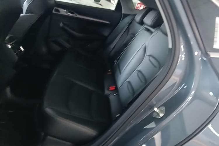 Used Geely Auto Preface 2023 2.0TD Luxury Version Left Rear Seat