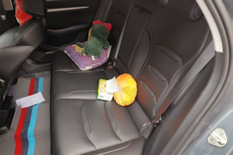 Used Geely Auto Preface 2023 2.0TD Luxury Version Left Rear Seat