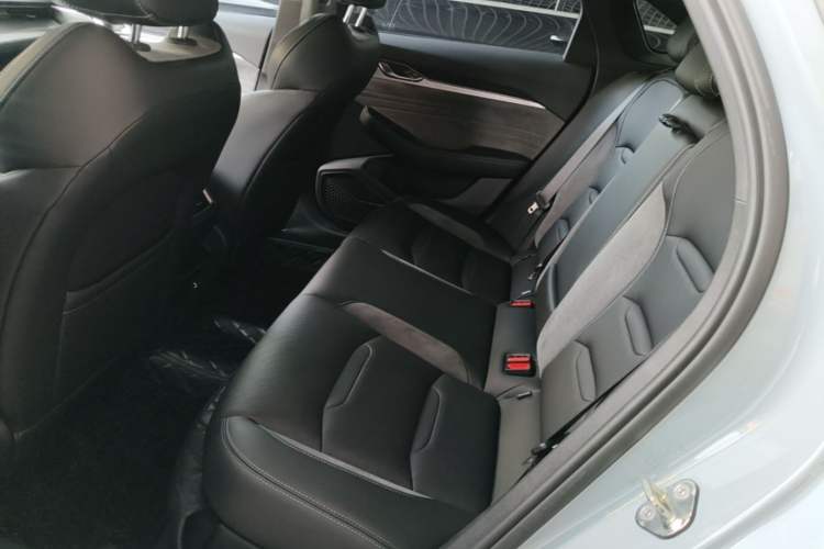 Used Geely Auto Preface 2023 2.0TD "Only This Verdant Green" Edition Left Rear Seat